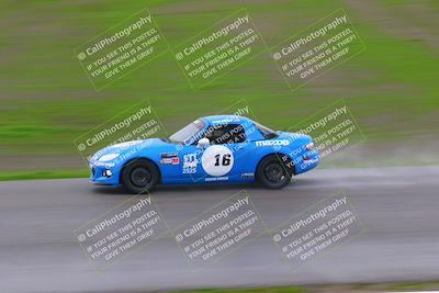 media/Jan-14-2023-CalClub SCCA (Sat) [[d2757389b8]]/Group 1/Qualifying (Front Straight)/